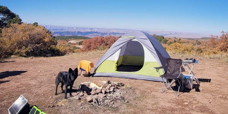 Camper submitted image from Geyser Pass Road