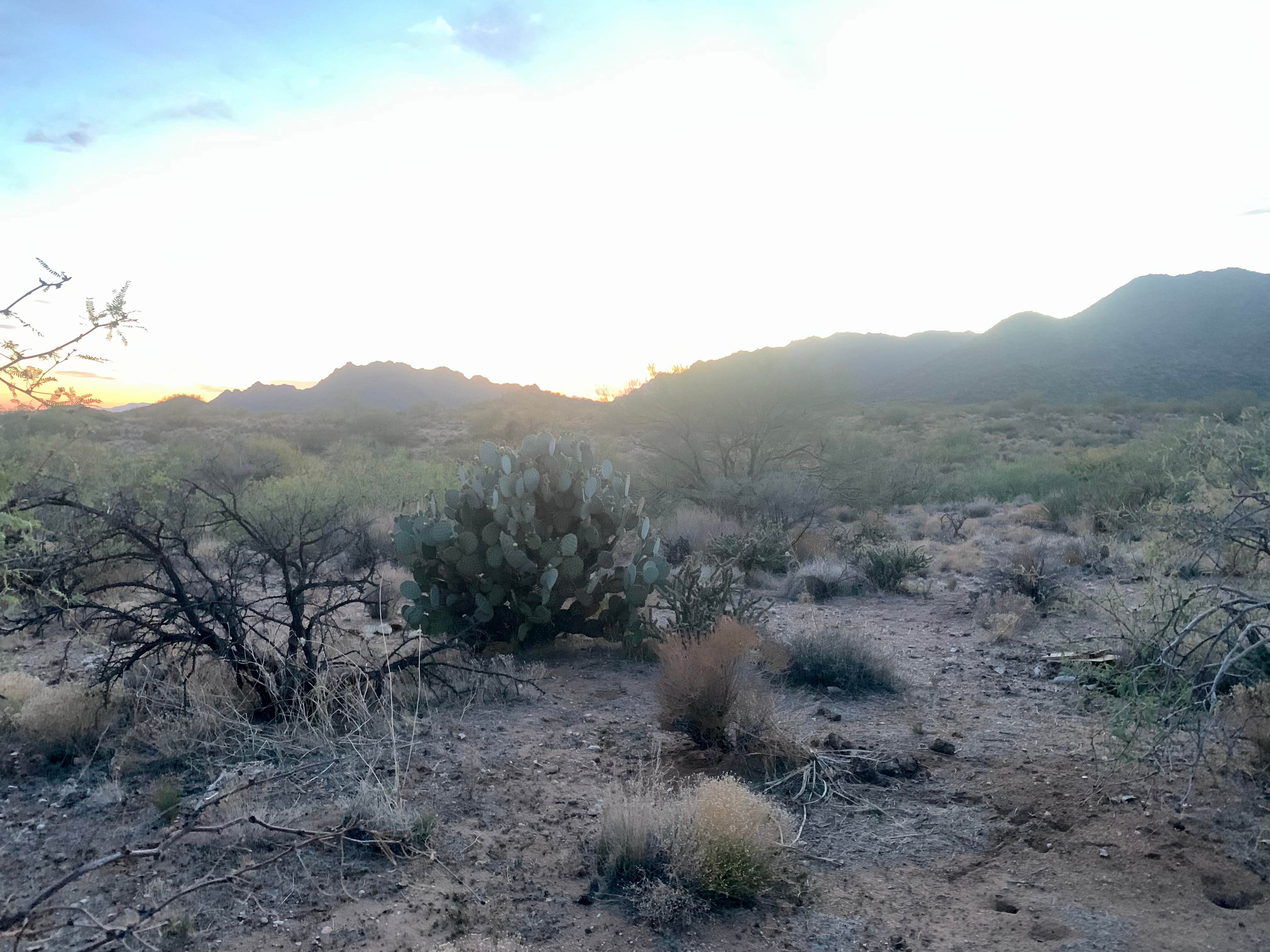 Camper-submitted photo at Ghost Town Road BLM Camping near Wickenburg, AZ