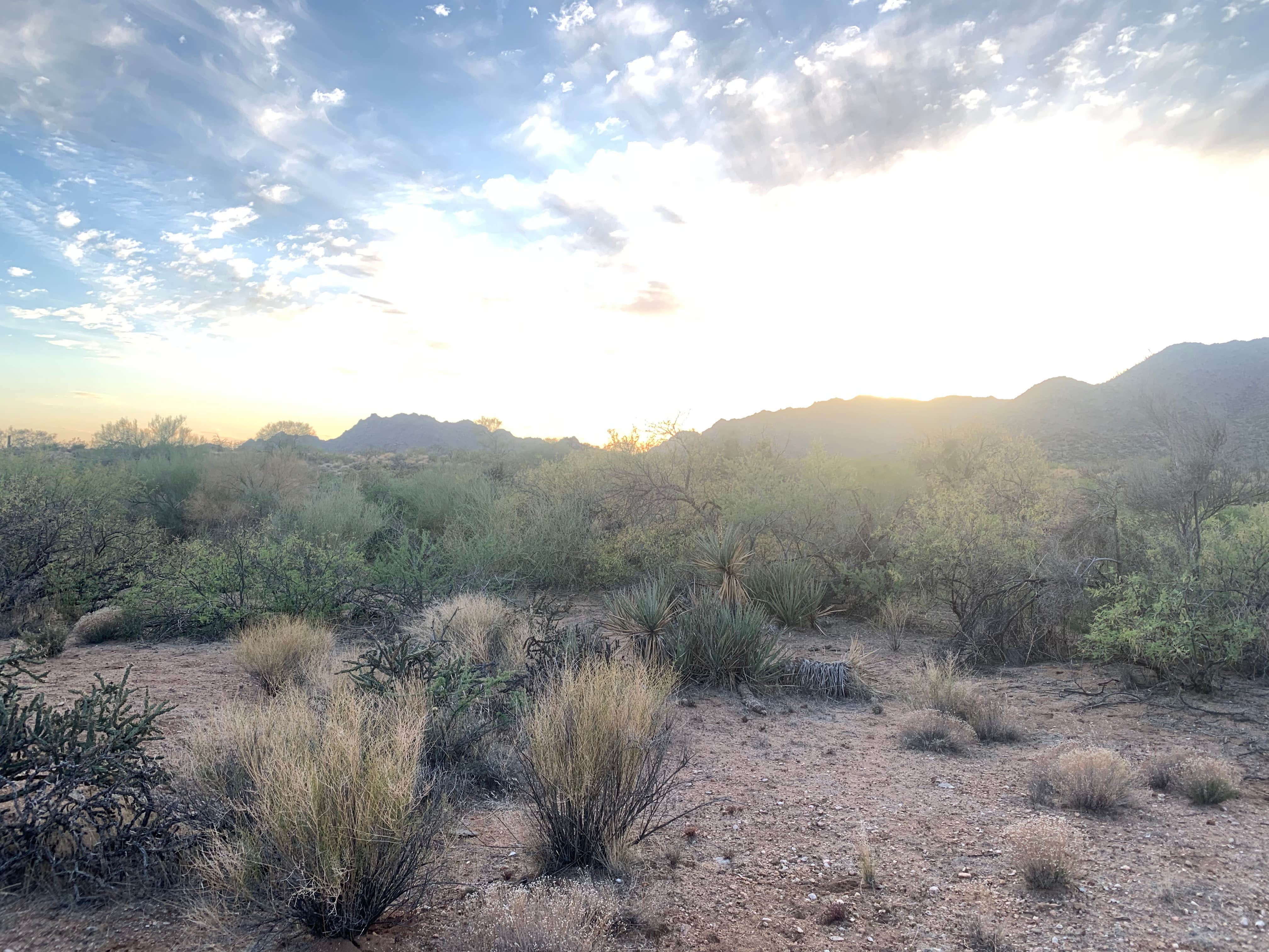 Camper-submitted photo at Ghost Town Road BLM Camping near Wickenburg, AZ