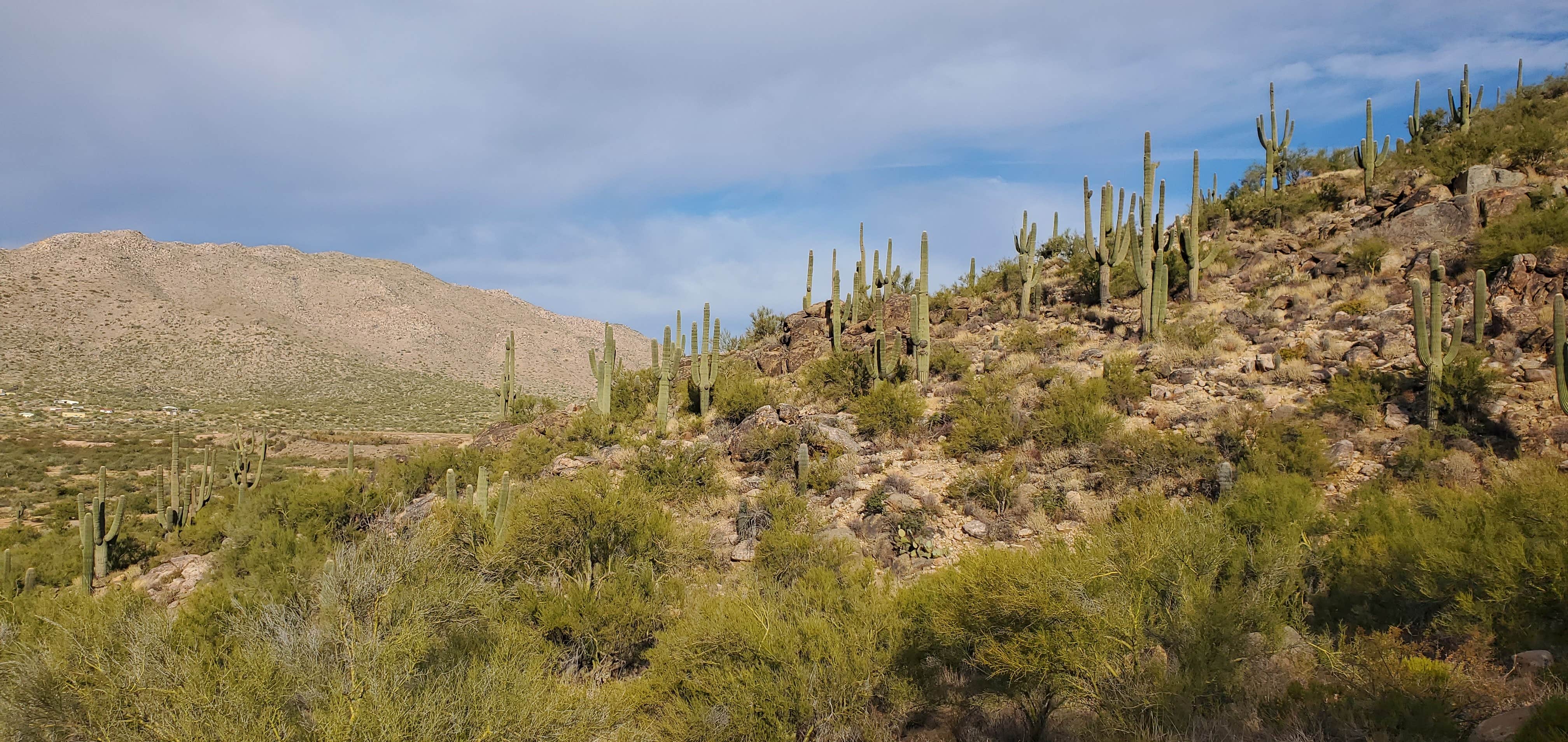 Camper-submitted photo at Ghost Town Road BLM Camping near Wickenburg, AZ