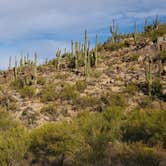 Review photo of Ghost Town Road BLM Camping by John R., December 6, 2023