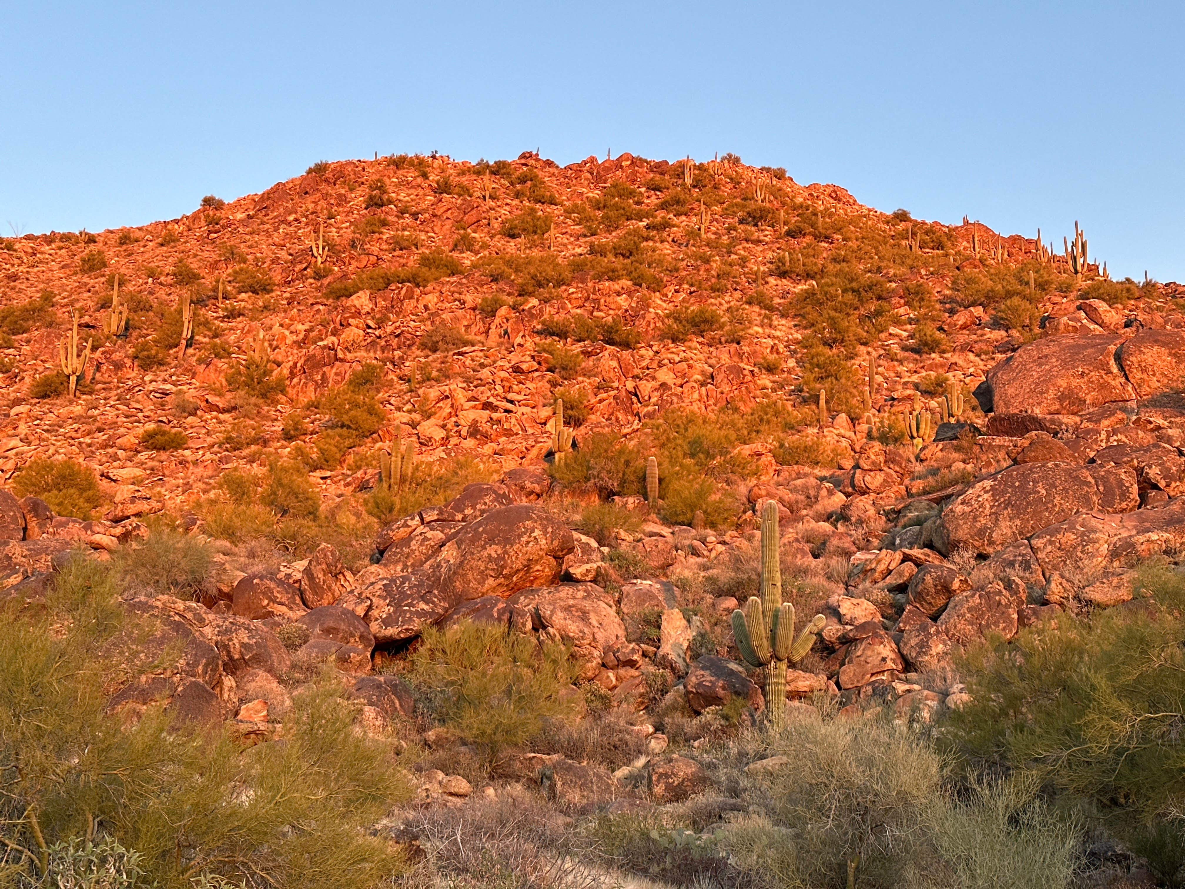 Camper-submitted photo at Ghost Town Road Camp near Aguila, AZ