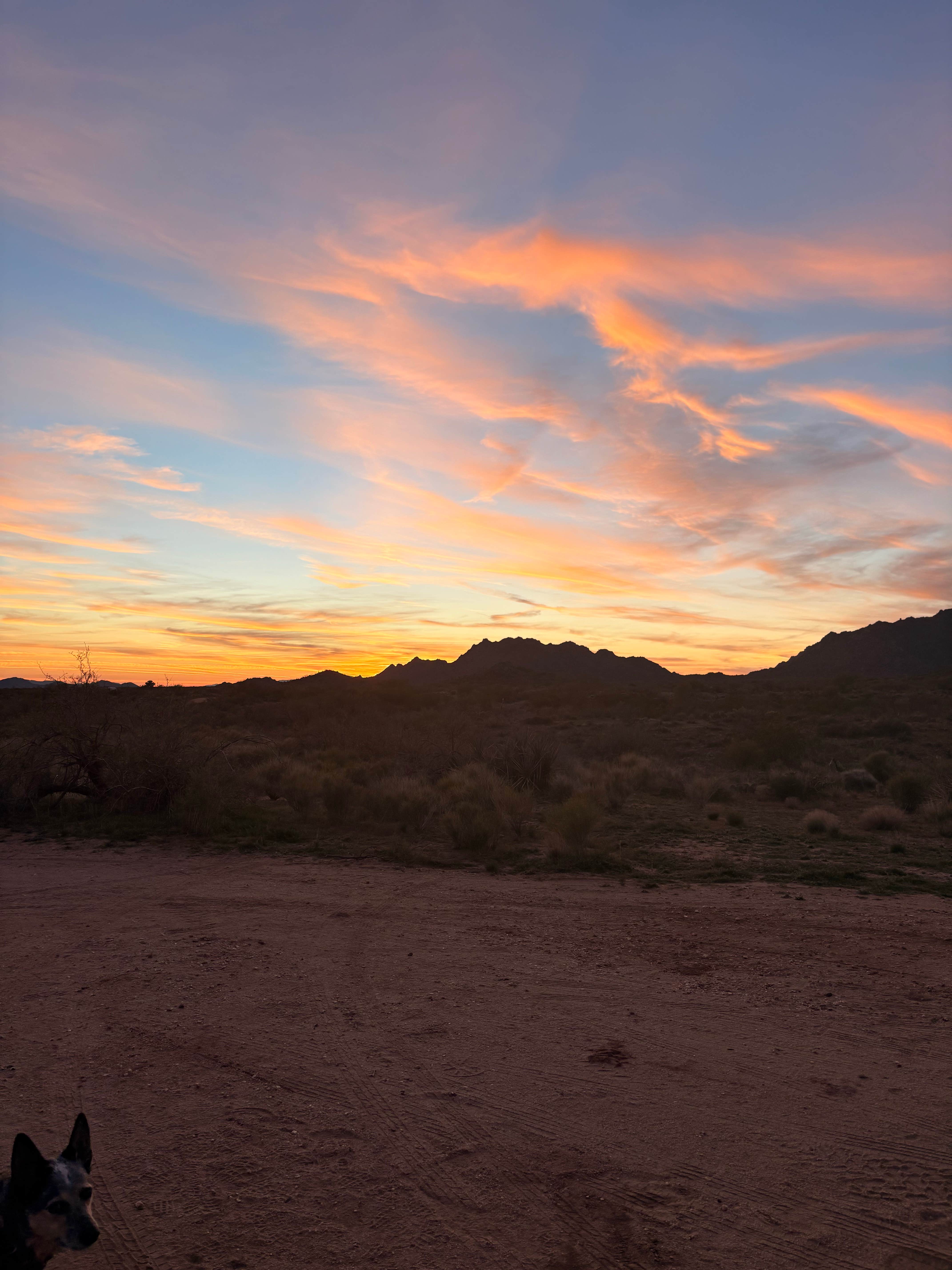 Camper-submitted photo at Ghost Town Road Camp near Yarnell, AZ