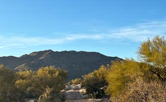 Tracey R.'s photo of camping with pets at Ghost Town Road Camp near Morristown, AZ