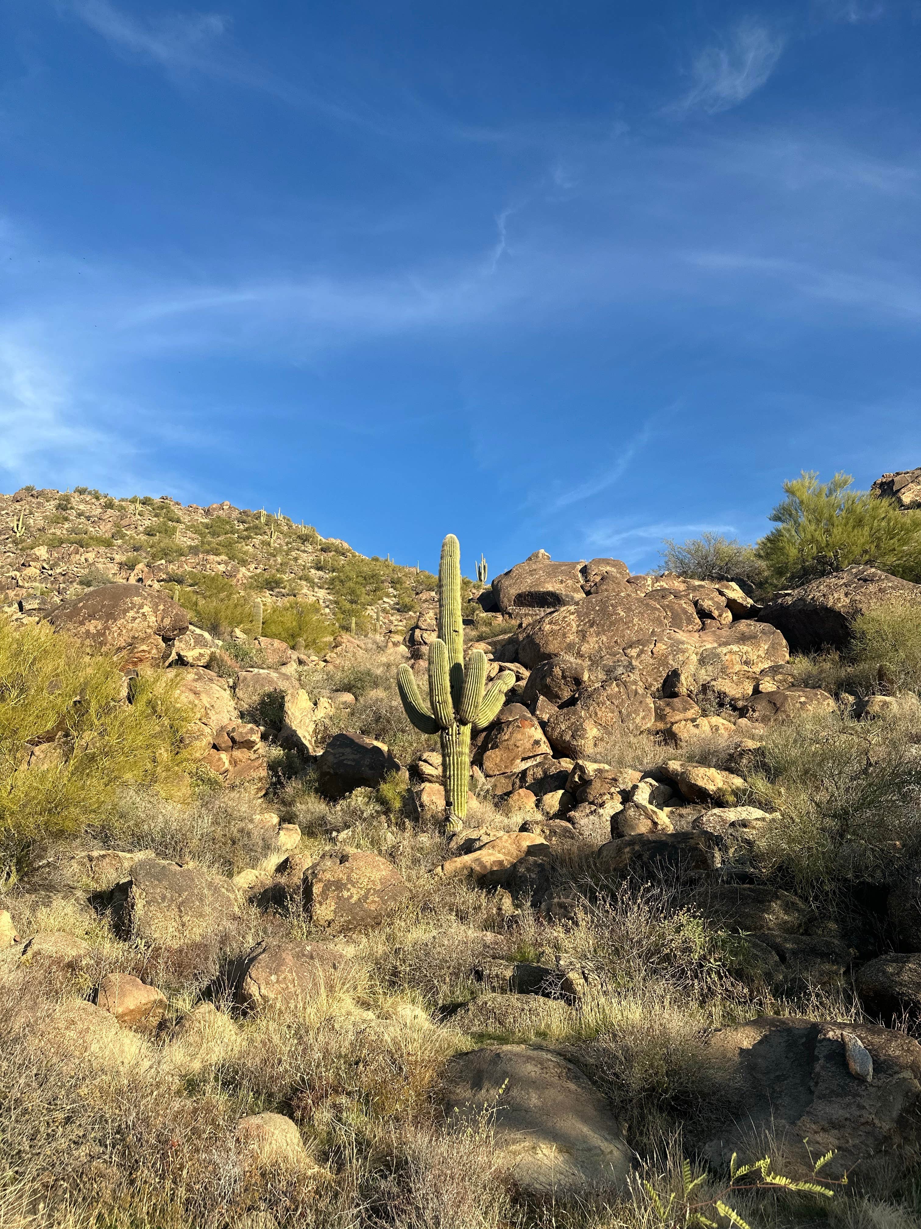 Camper-submitted photo at Ghost Town Road Camp near Aguila, AZ