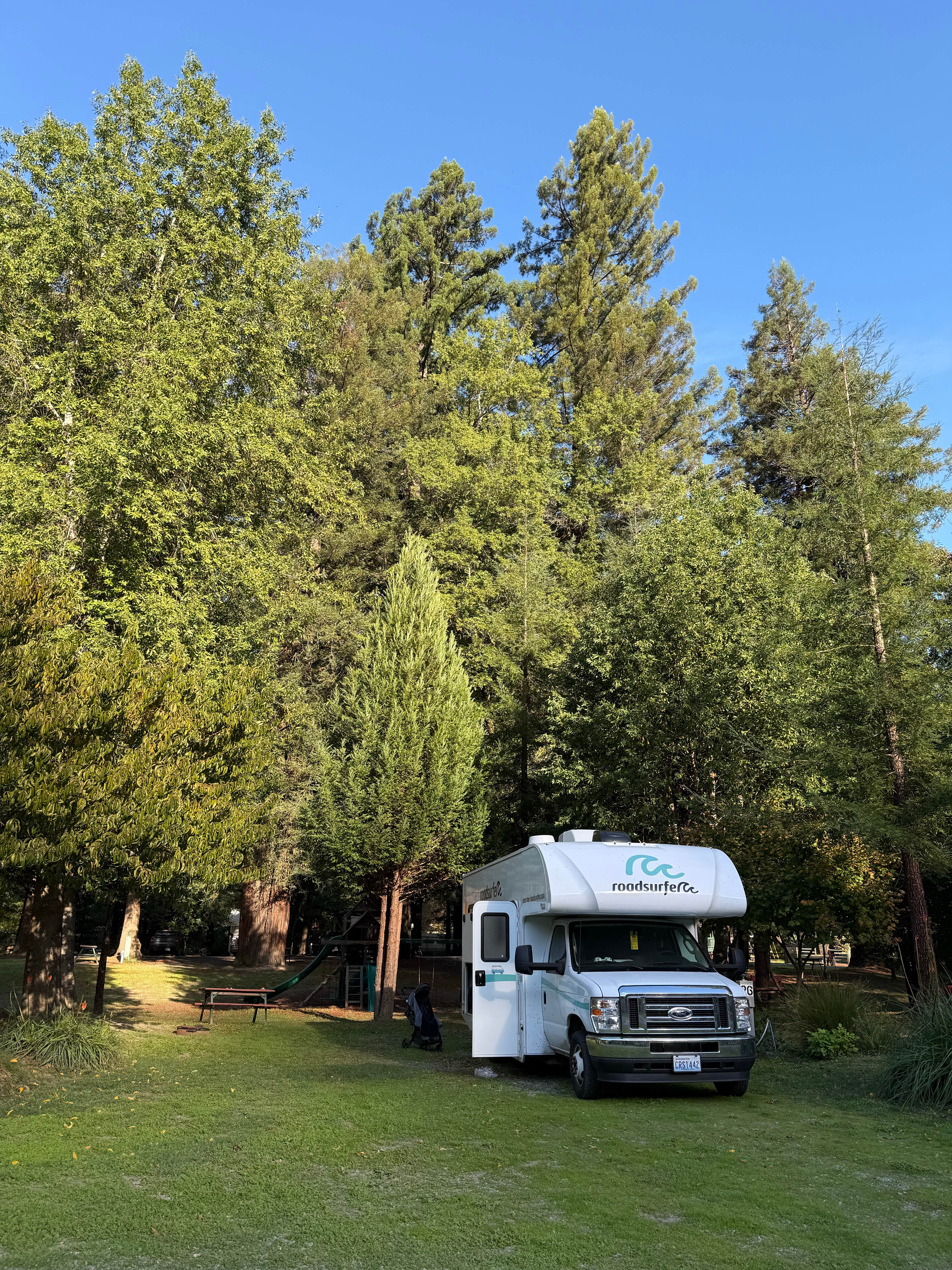 Georgina E.'s photo of rv camping at Giant Redwoods RV & Cabin Destination near Ferndale, CA