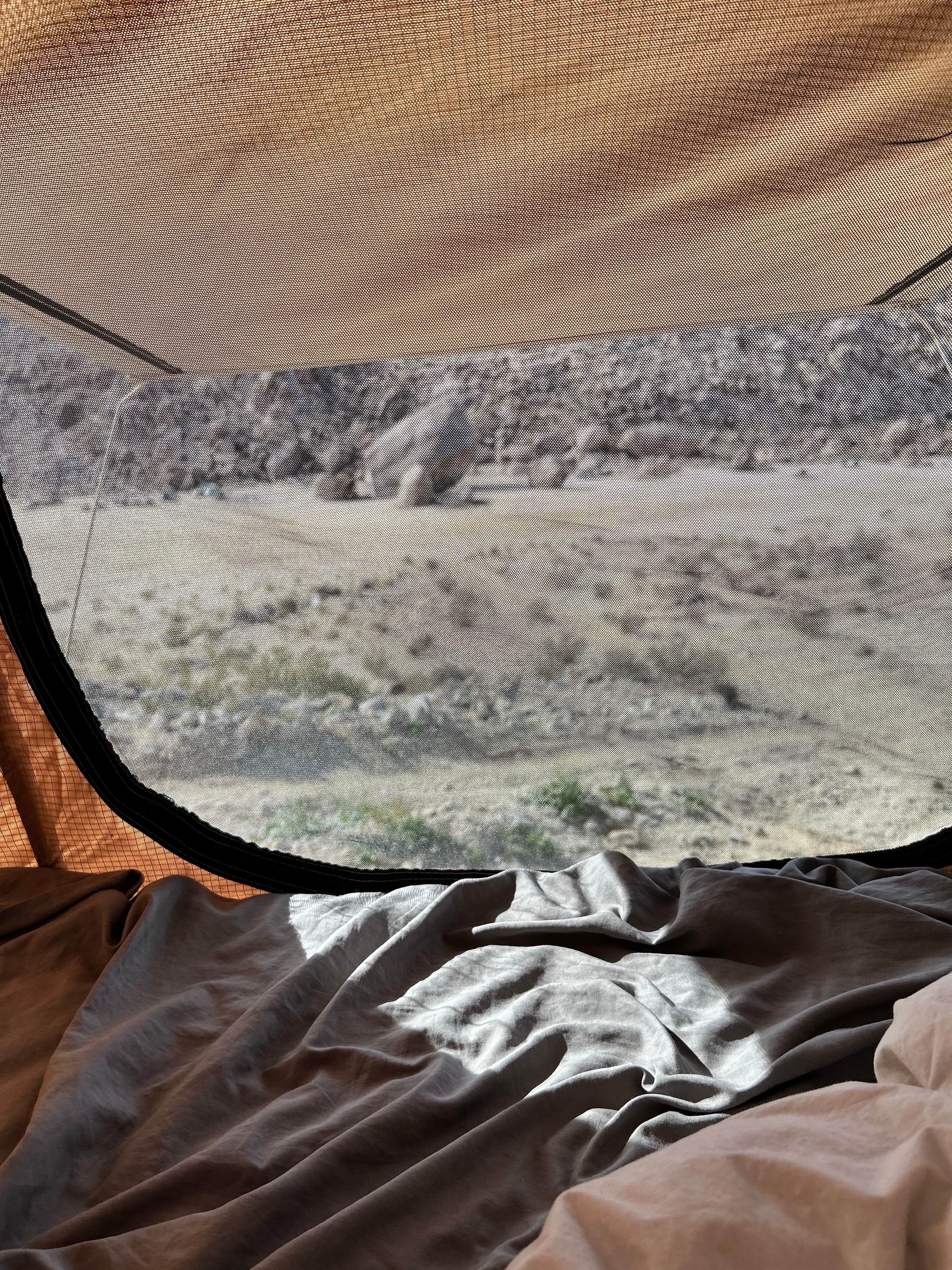 Giant Rock Dispersed