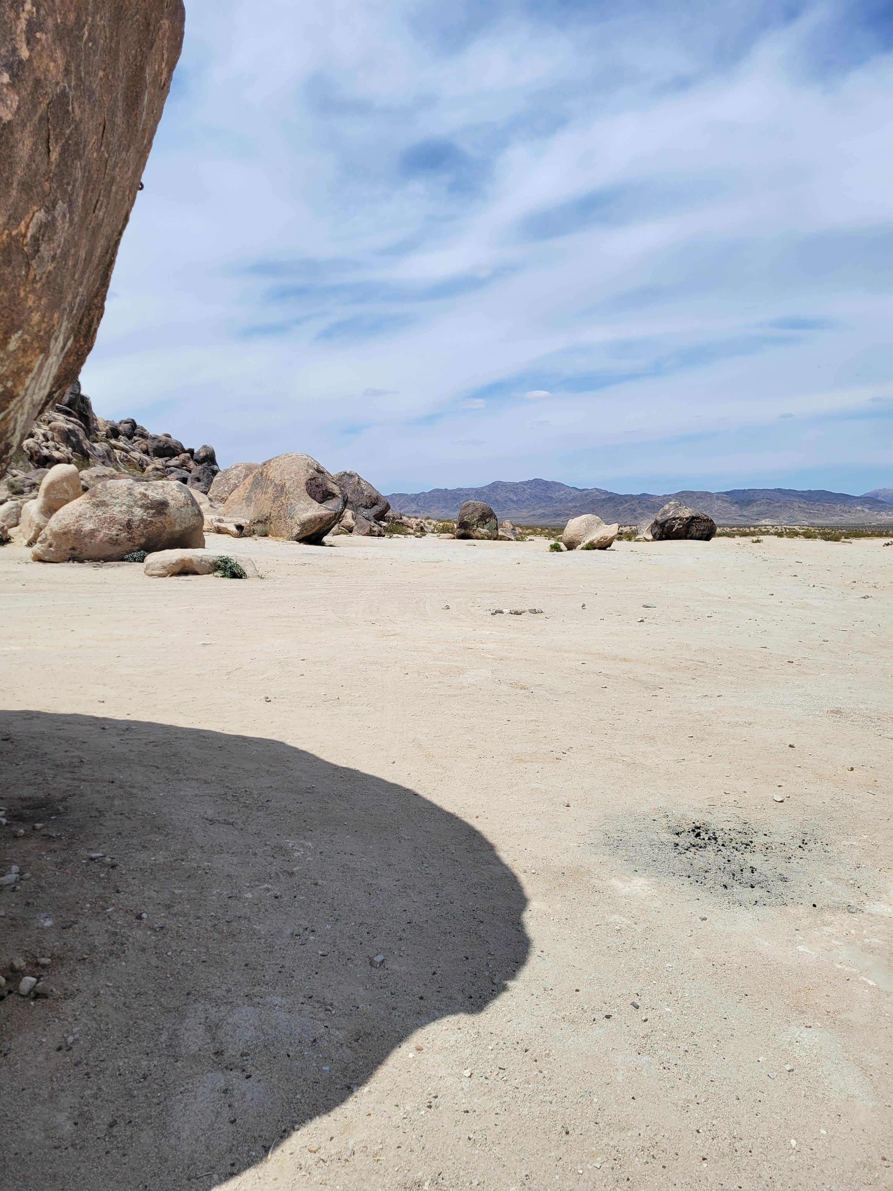 Camper submitted image from Giant Rock Dispersed - 3