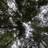 Review photo of Gijikiki Lake by Daniel E., January 30, 2026