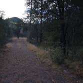 Review photo of Lower Gallinas Campground by Teresa T., November 29, 2024