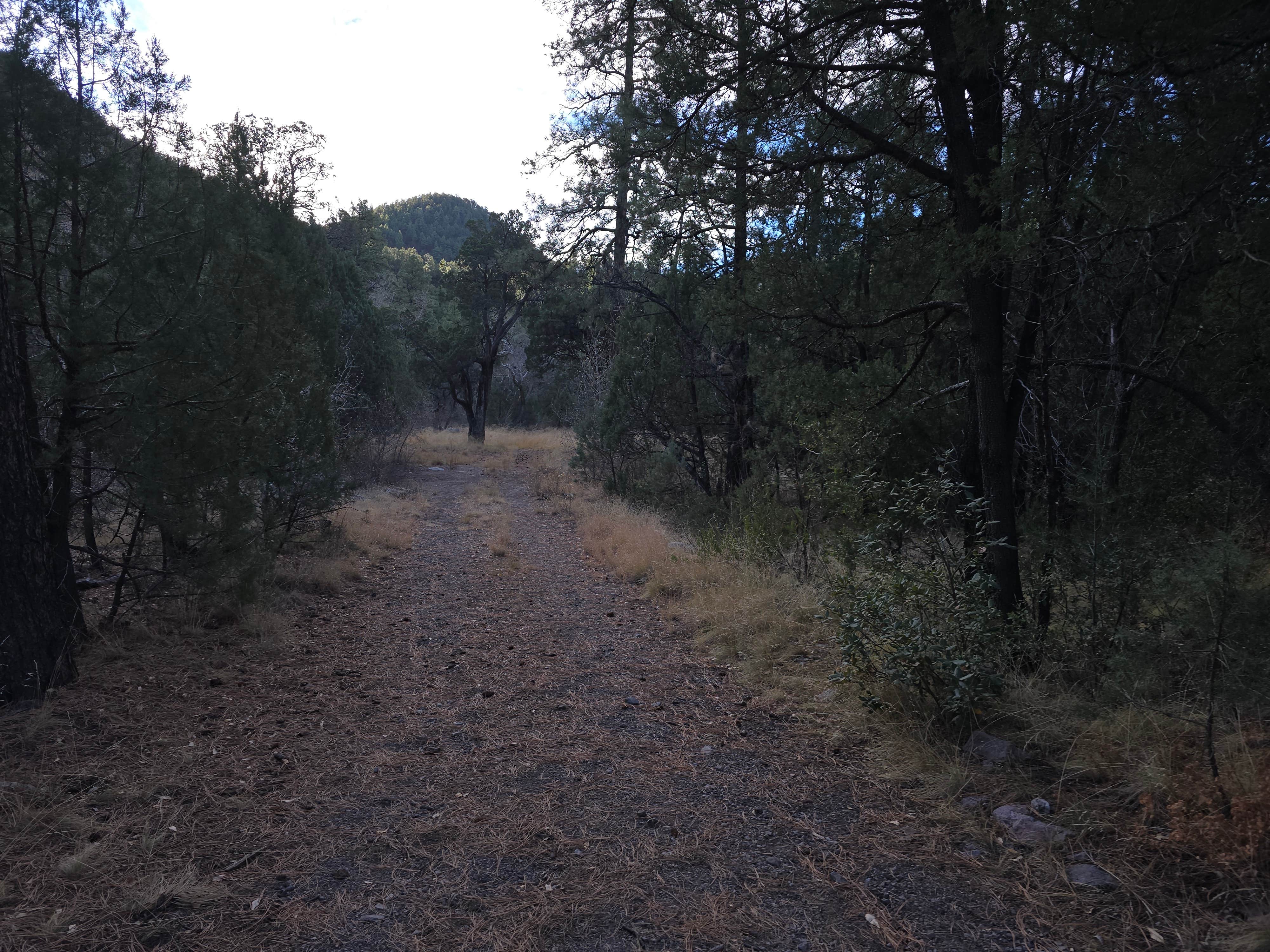 Camper submitted image from Lower Gallinas Campground - 3