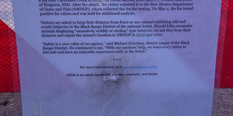 Camper submitted image from Lower Gallinas Campground