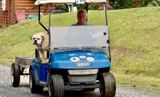 Dustin D. B.'s photo of camping with pets at Gilbert RV Park near Leslie, AR