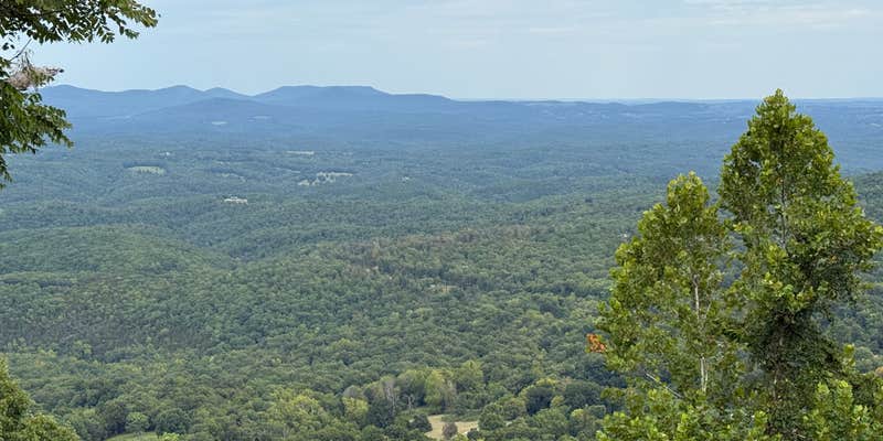 Camper submitted image from Gilbert RV Park