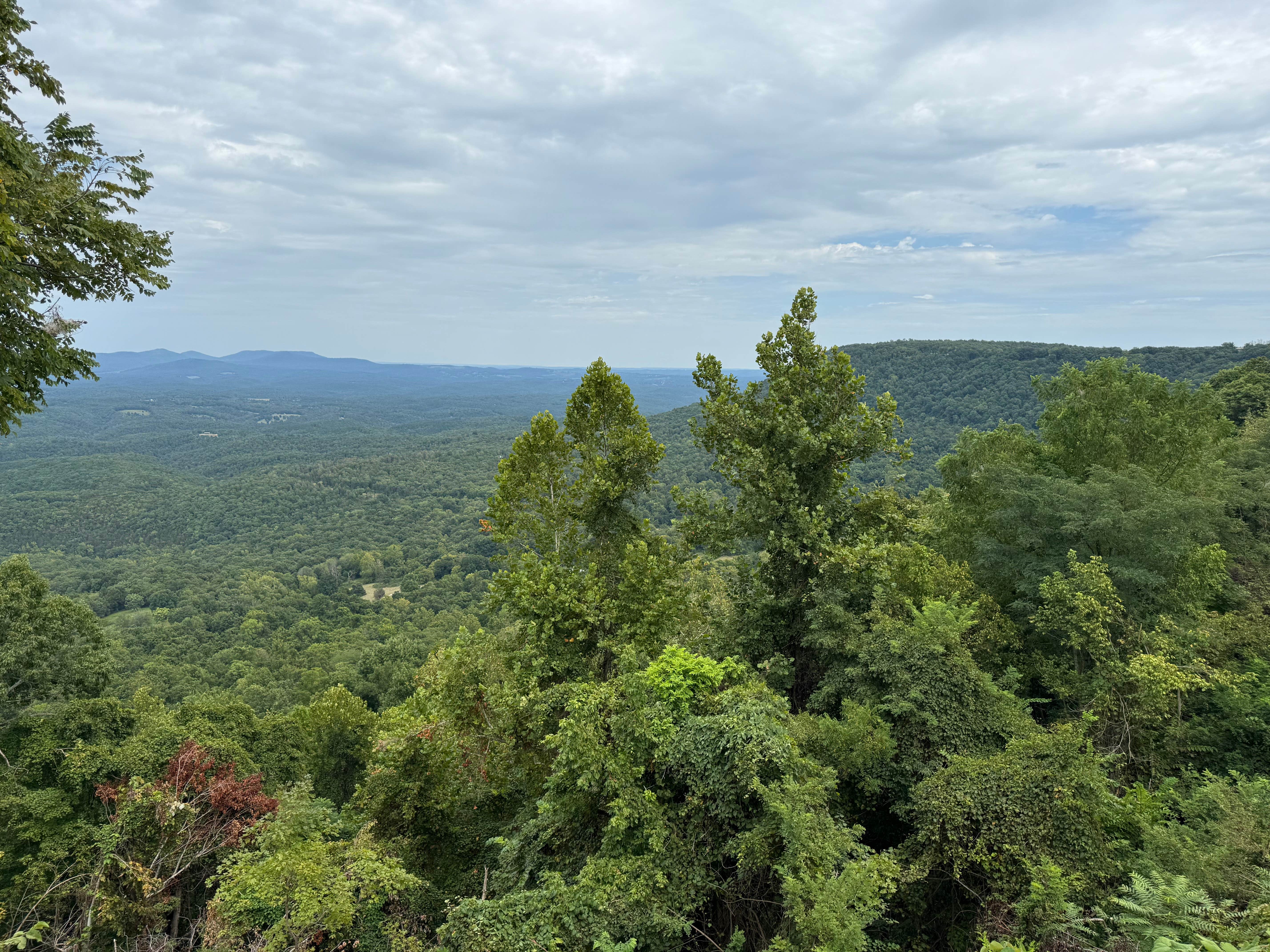 Camper-submitted photo at Gilbert RV Park near Buffalo National River