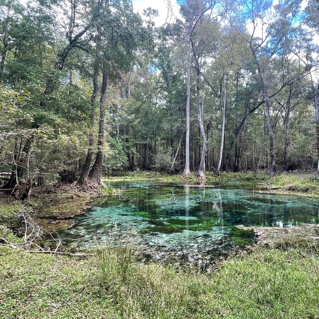 Gilchrist Blue Springs State Park Campground | High Springs, FL