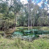 Review photo of Gilchrist Blue Springs State Park Campground by CM M., October 16, 2023