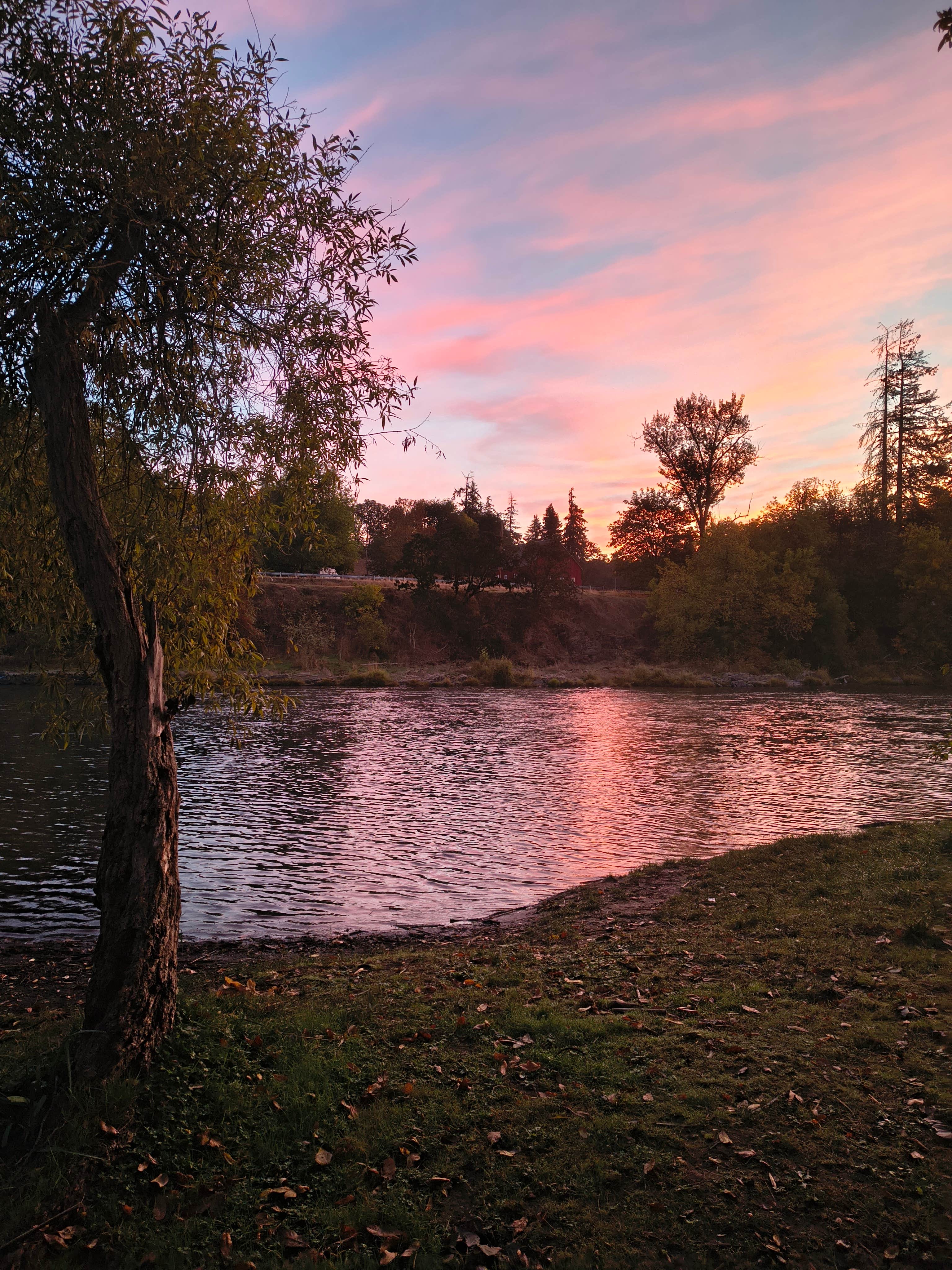 Camper-submitted photo at Gills Landing RV Park near Monroe, OR