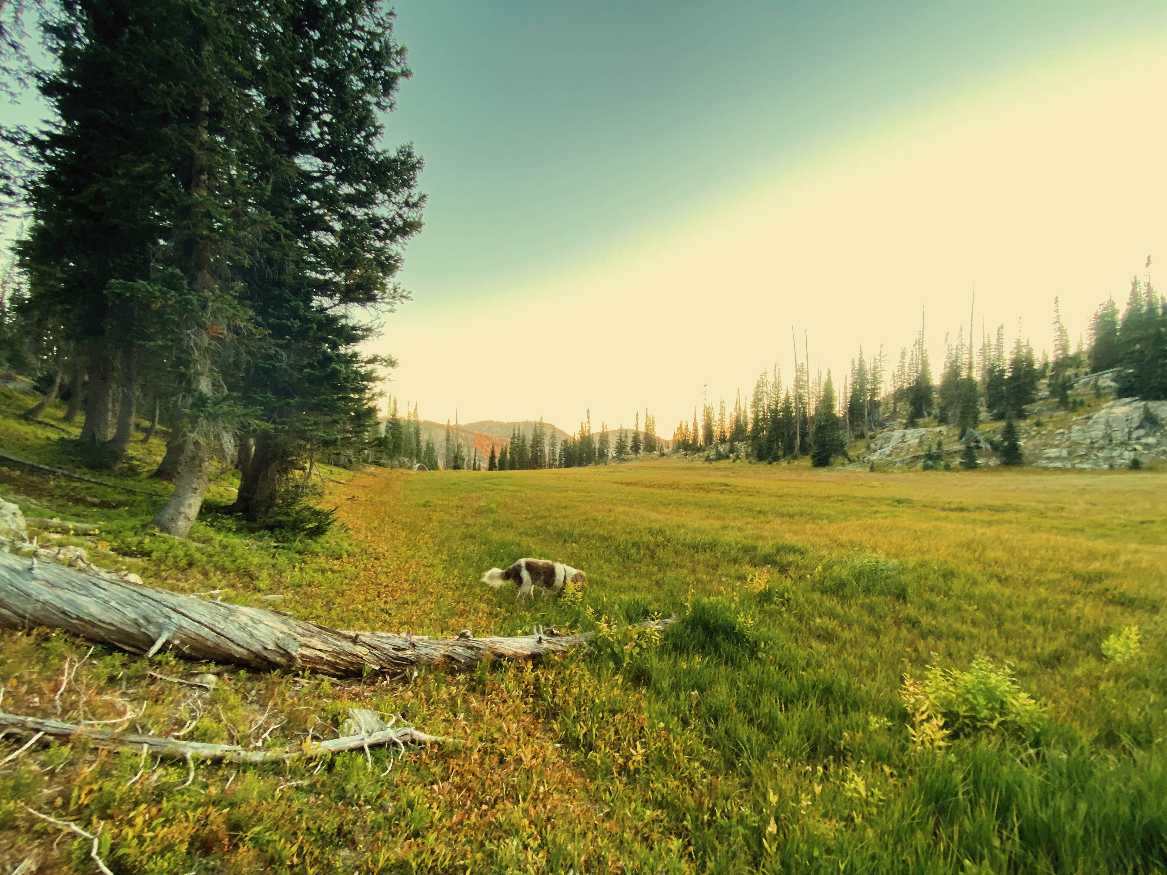 Camper-submitted photo at gilpin lake near Medicine Bow-Routt National Forests and Thunder Basin National Grassland