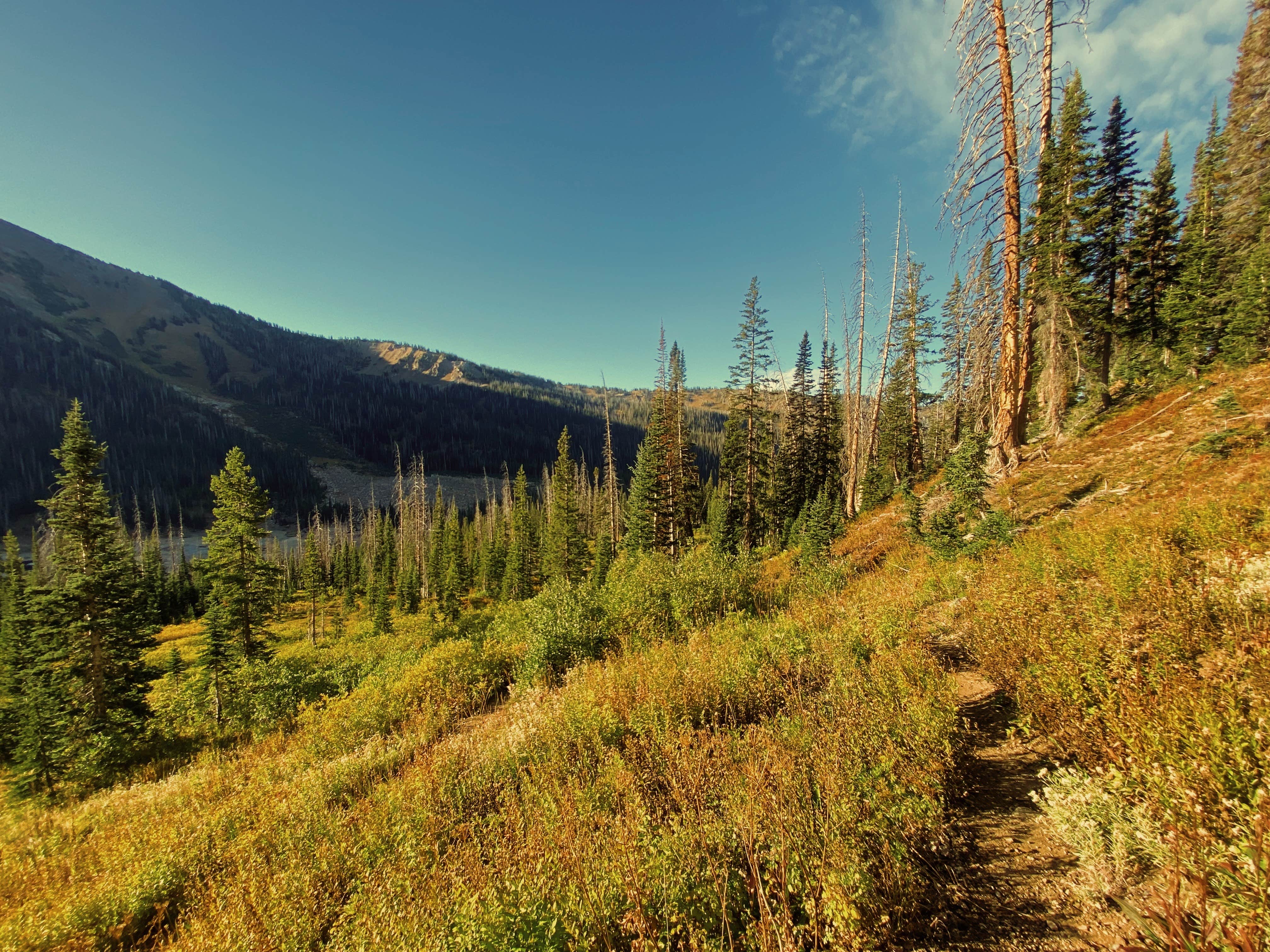 Camper-submitted photo at gilpin lake near Clark, CO