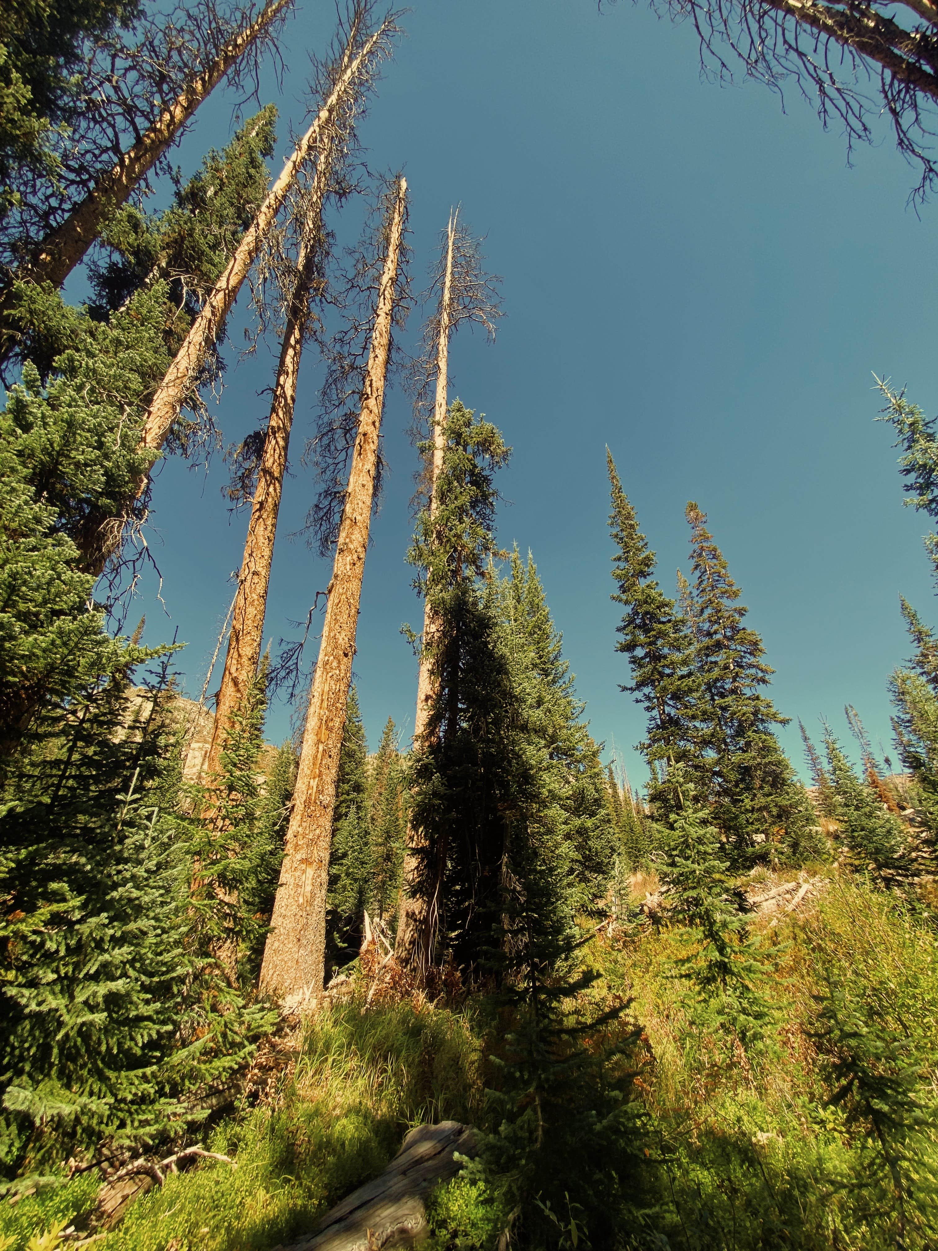 Camper-submitted photo at gilpin lake near Clark, CO