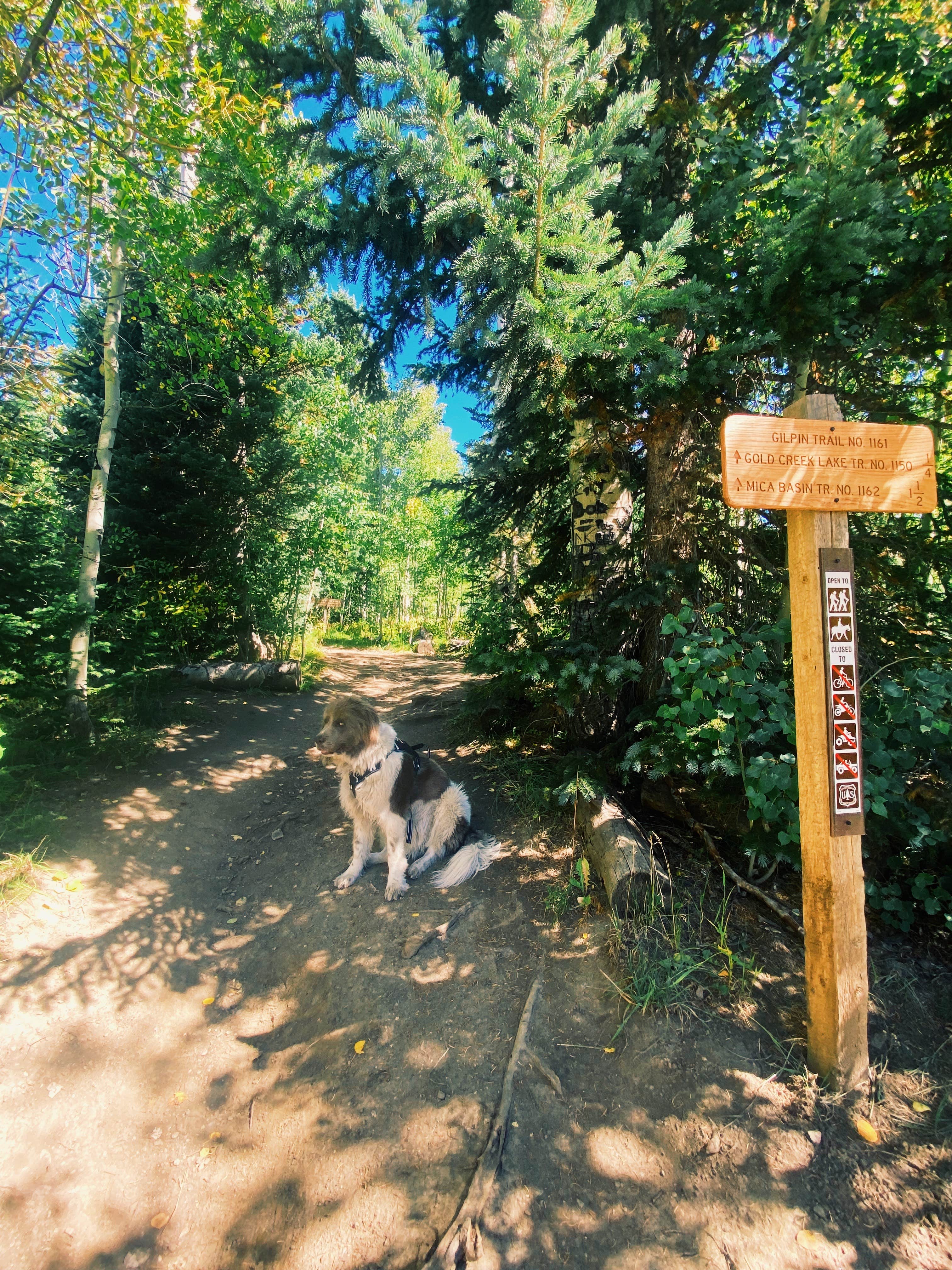 Camper submitted image from gilpin lake - 4