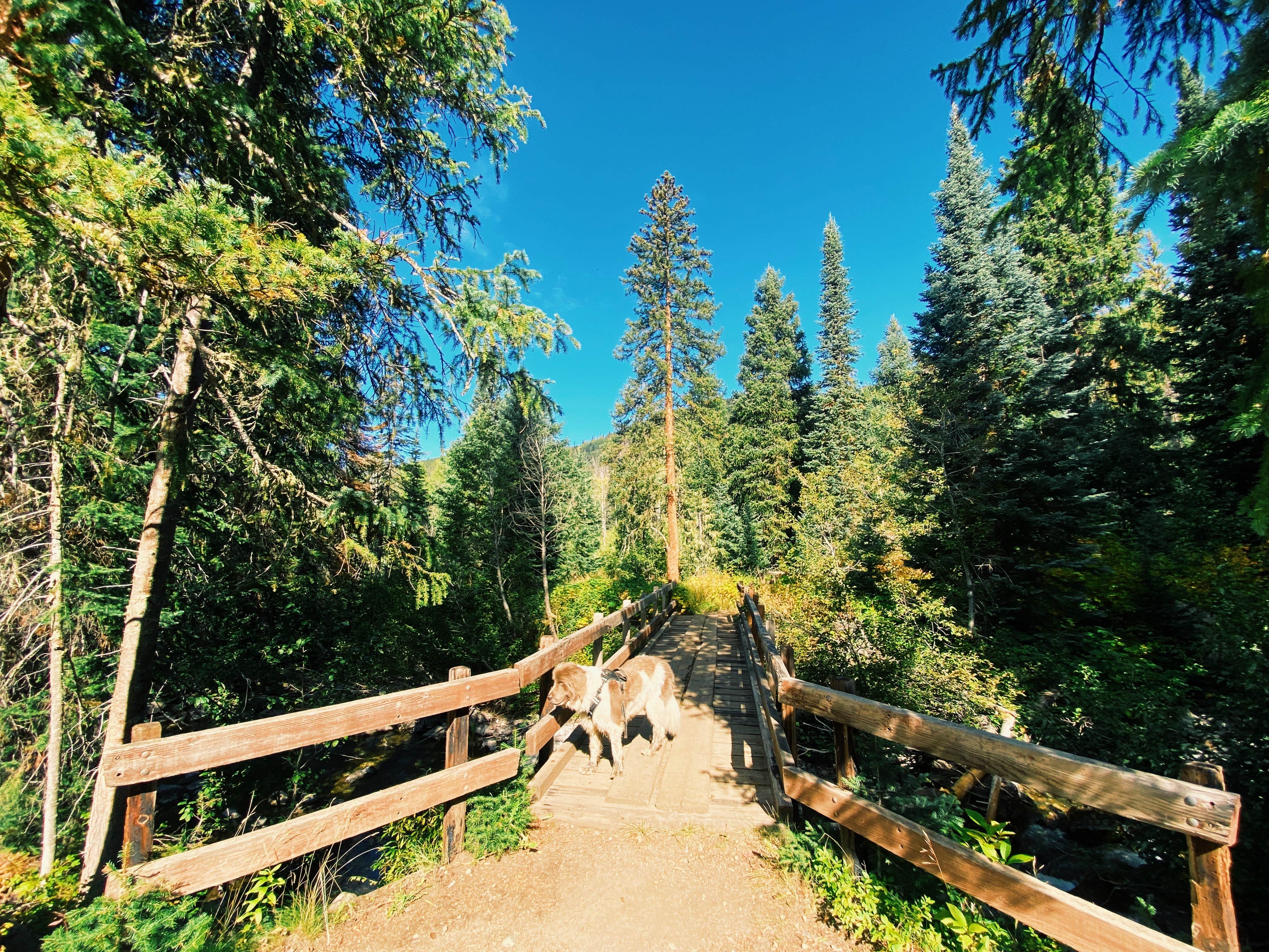 Camper submitted image from gilpin lake - 5