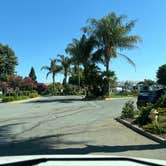 Review photo of Gilroy Garlic USA RV Park by Jason M., August 25, 2024