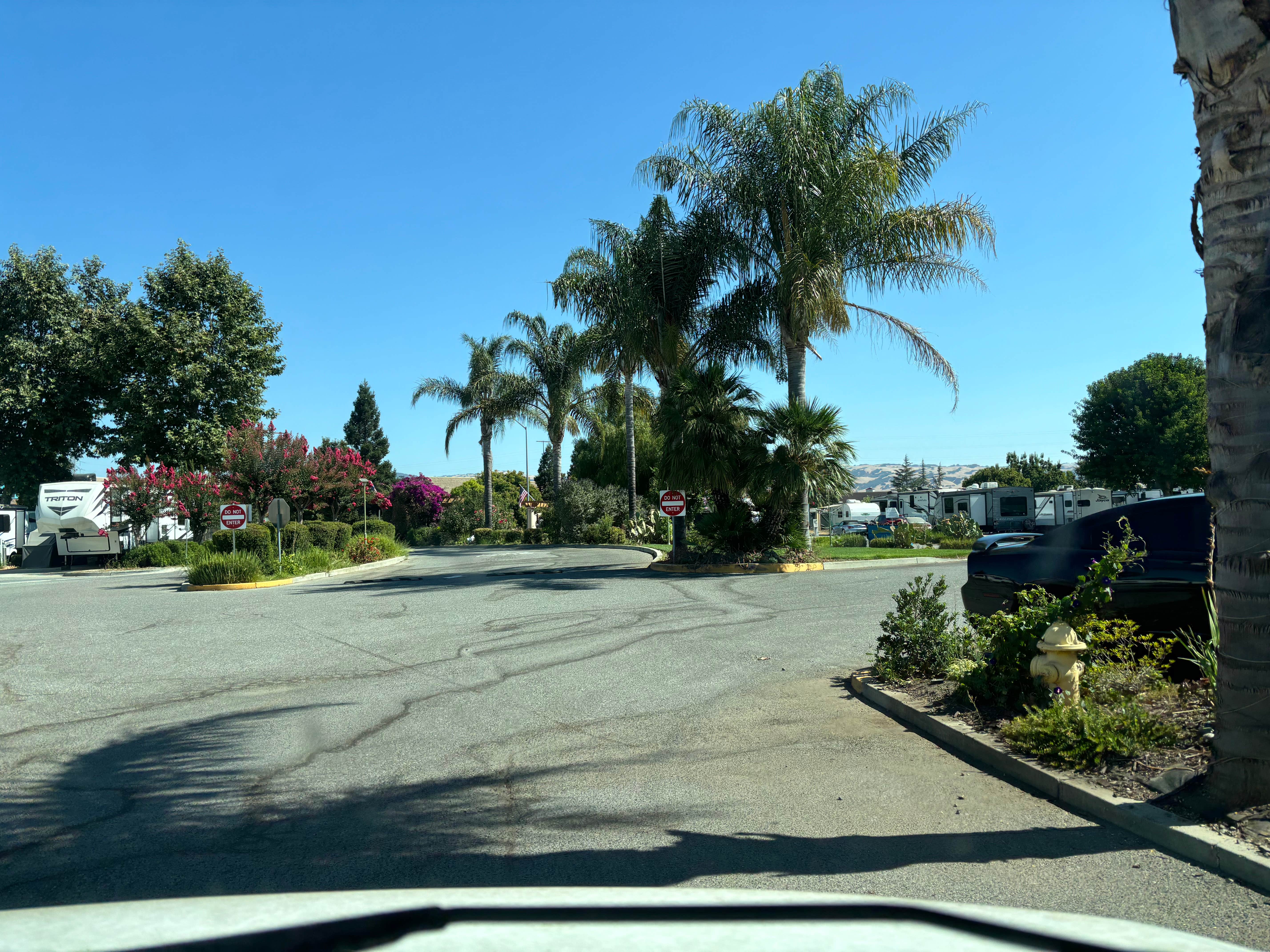 Camper submitted image from Gilroy Garlic USA RV Park - 1