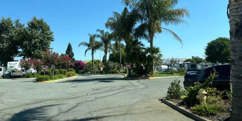 Camper submitted image from Gilroy Garlic USA RV Park