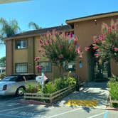 Review photo of Gilroy Garlic USA RV Park by Jason M., August 25, 2024