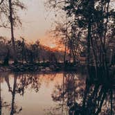 Review photo of Ginnie Springs Outdoors by Maddie K., March 16, 2025