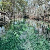 Review photo of Ginnie Springs Outdoors by Maddie K., March 16, 2025