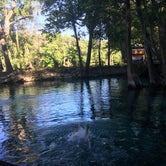 Review photo of Ginnie Springs Outdoors by Lexi W., February 8, 2024