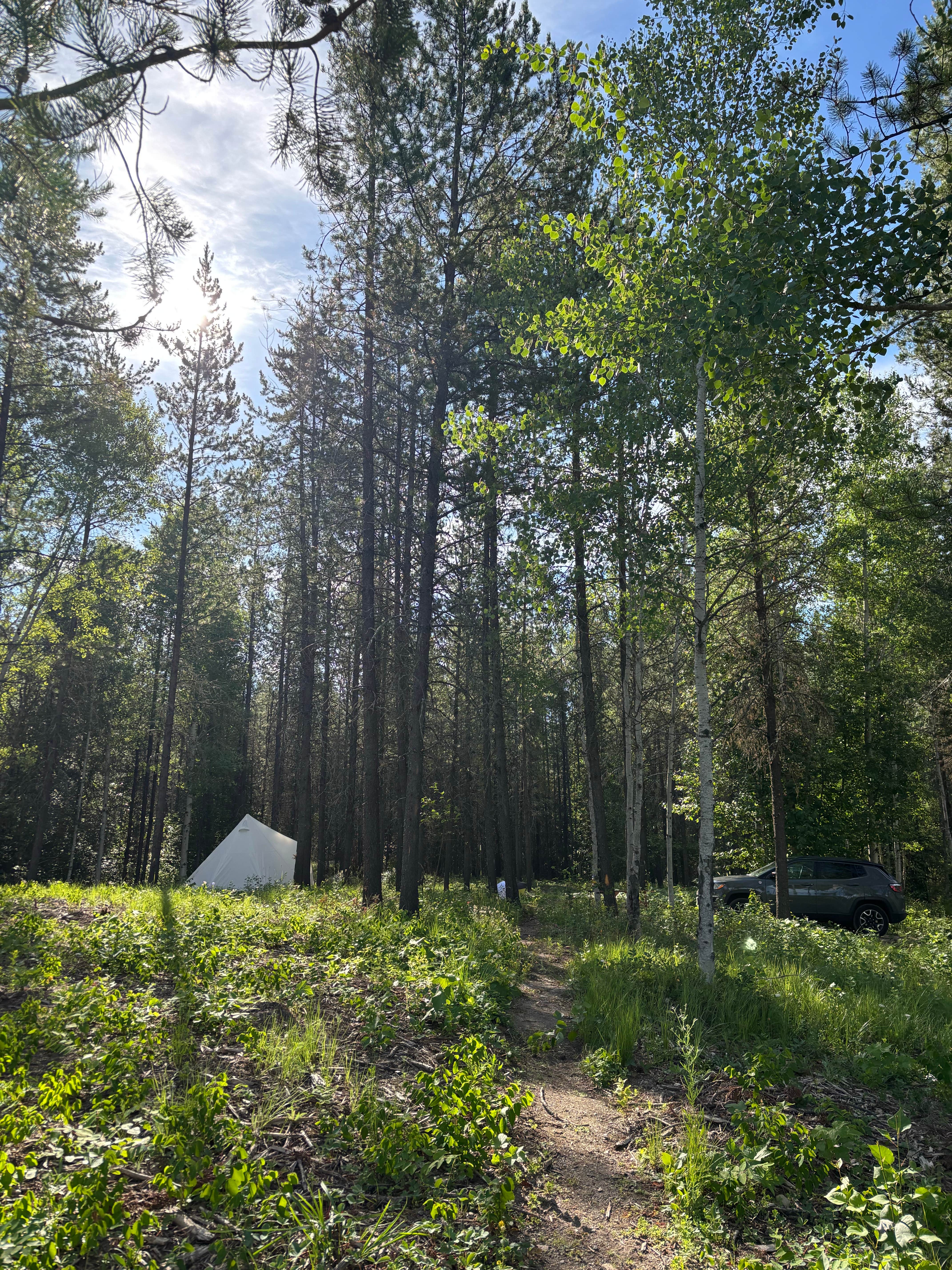 Kendra F.'s photo at Glacier HipCamp (6 mins to West Glacier National Park) 🏕️ near Columbia Falls, MT