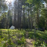 Review photo of Glacier HipCamp (6 mins to West Glacier National Park) 🏕️ by Kendra F., July 14, 2025