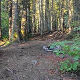 Review photo of Glacier Rim River Access 10363 by Jamie A., June 18, 2026