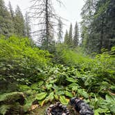 Review photo of Glacier Rim River Access 10363 by Reagan M., August 30, 2025