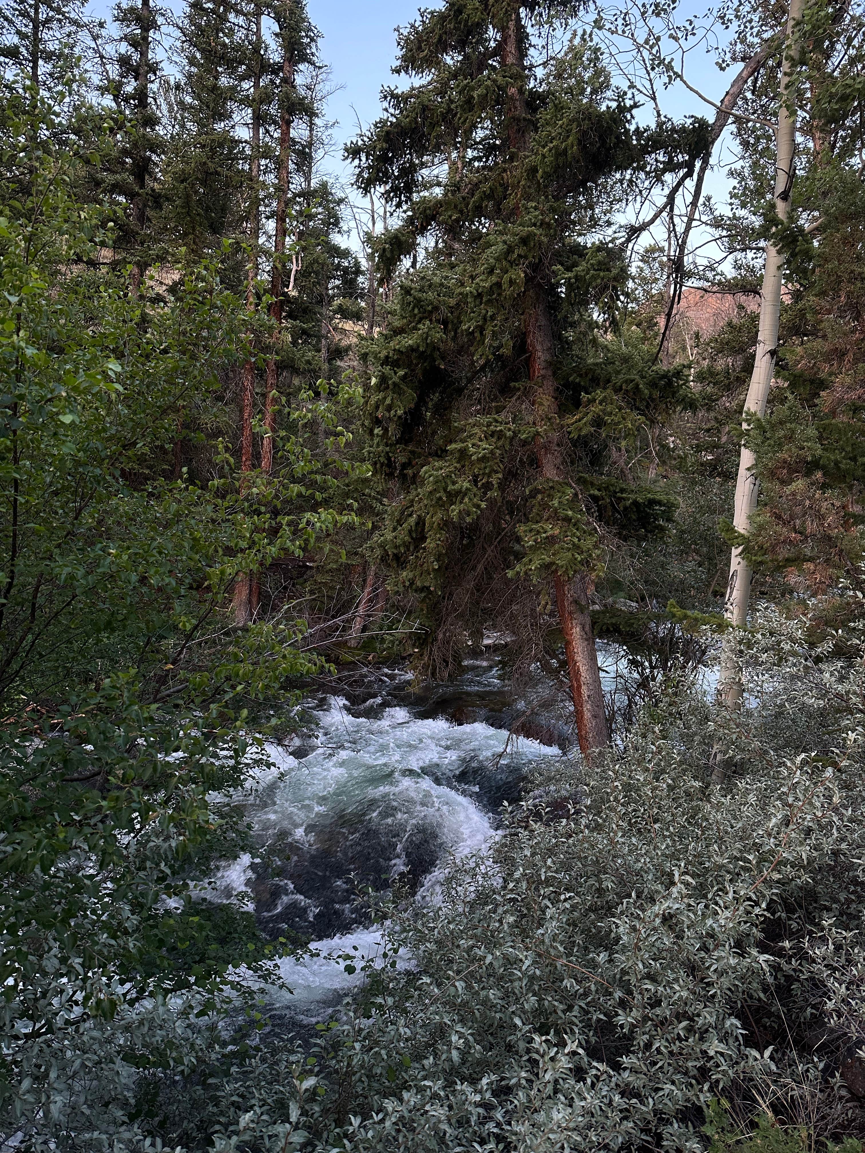 Camper-submitted photo at Glacier Trailhead Campsites in Fitzpatrick Wilderness Area near Dubois, WY