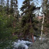 Review photo of Glacier Trailhead Campsites in Fitzpatrick Wilderness Area by Laura C., July 21, 2024