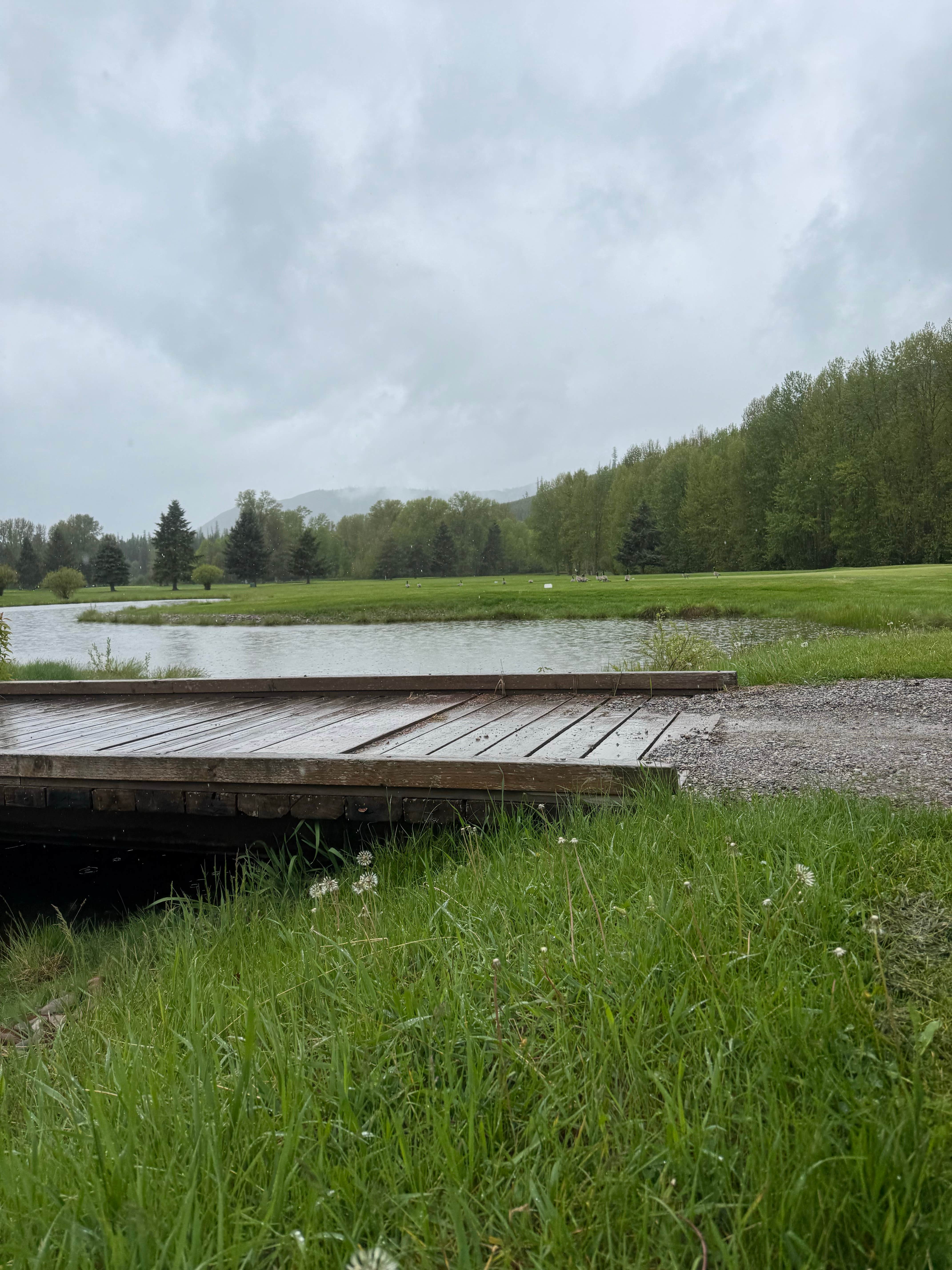 Camper submitted image from Glacier View Golf RV Park - 2