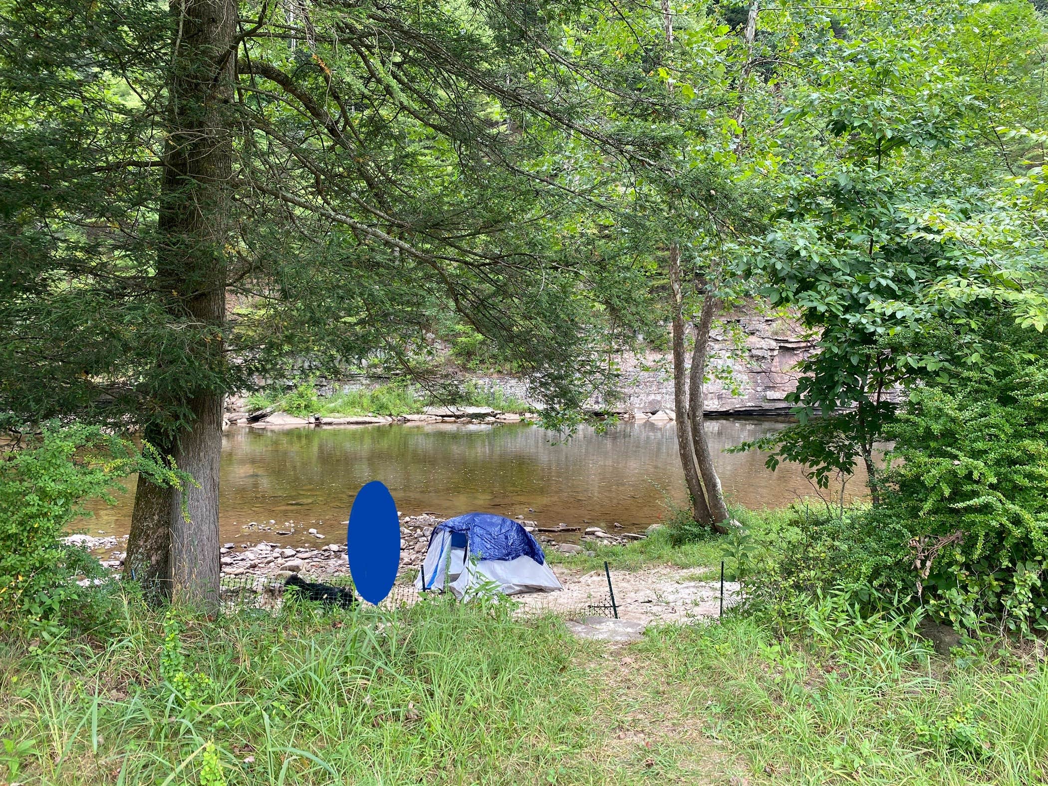 Sophia Z.'s photo of a dispersed camping area at Gladwin Dispersed Camping near Masontown, WV