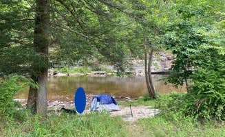 Sophia Z.'s photo at Gladwin Dispersed Camping near Dryfork, WV