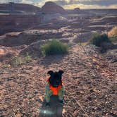 Review photo of Glen Canyon Dam Bridge Outlook by Jacquelyn H., May 1, 2026