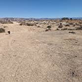 Review photo of Corral Dispersed — Glen Canyon National Recreation Area by Greg L., March 20, 2024