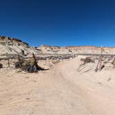 Review photo of Corral Dispersed — Glen Canyon National Recreation Area by Greg L., March 20, 2024