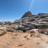 Review photo of Glen Canyon NRA Wildcat Tank dispersed by Greg L., March 20, 2024