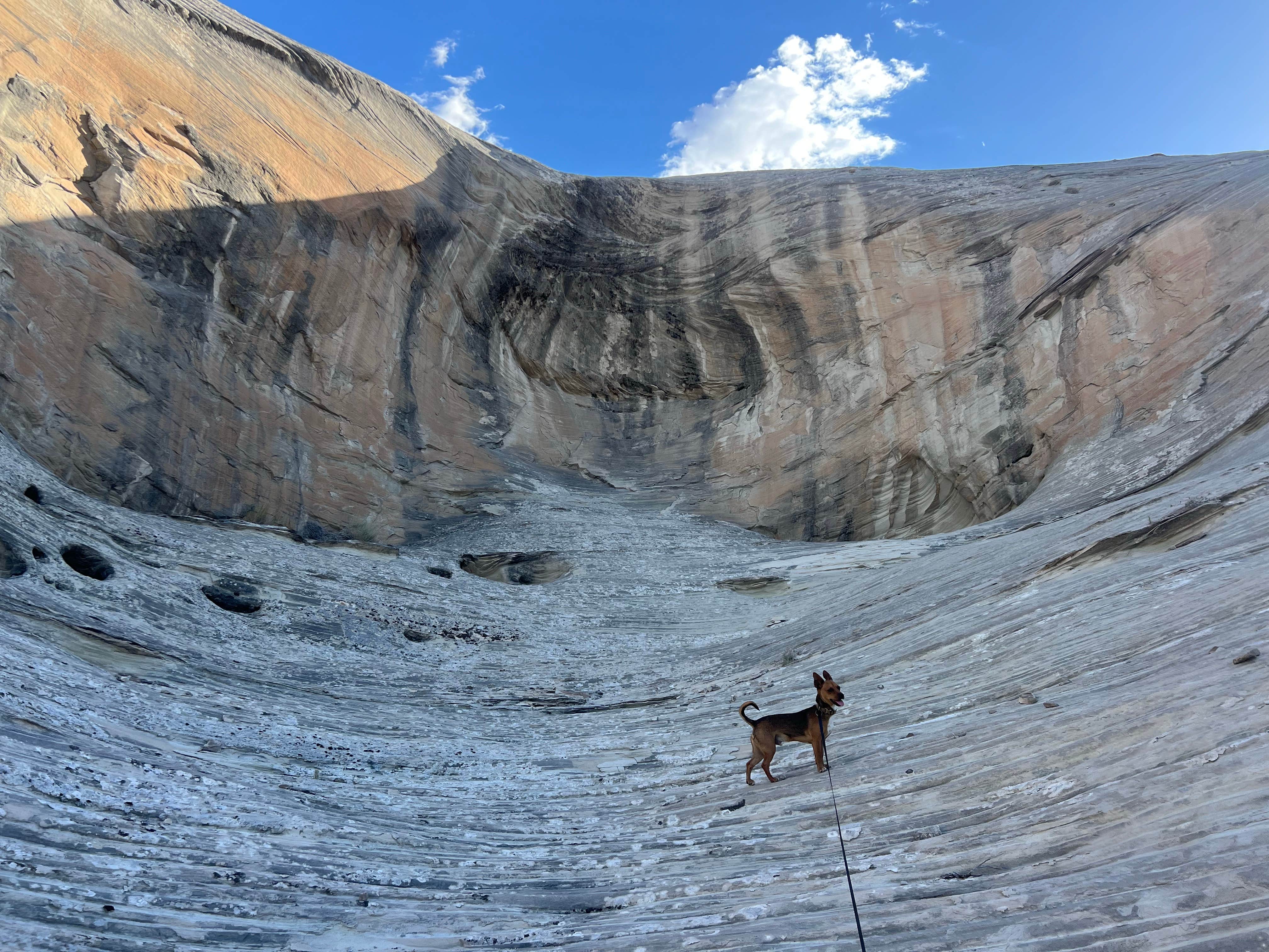 Camper submitted image from Glen Canyon NRA Wildcat Tank dispersed - 4