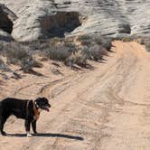 Review photo of Glen Canyon NRA Wildcat Tank dispersed by Greg L., March 20, 2024