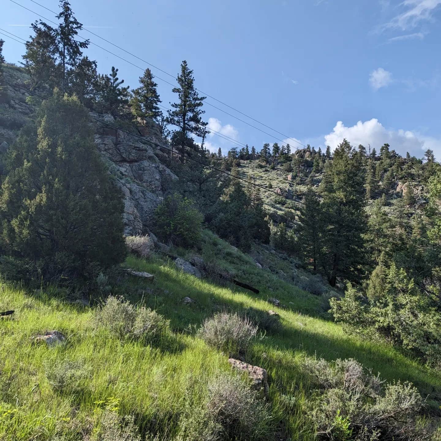 Camper-submitted photo at Glen Echo Resort near Red Feather Lakes, CO